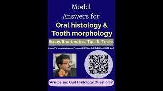 How To Answer Best For The Question On Histology Of Tmj?