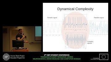 Tlaie Boria Alejandro - Cultured neuronal networks  as complex dynamical systems