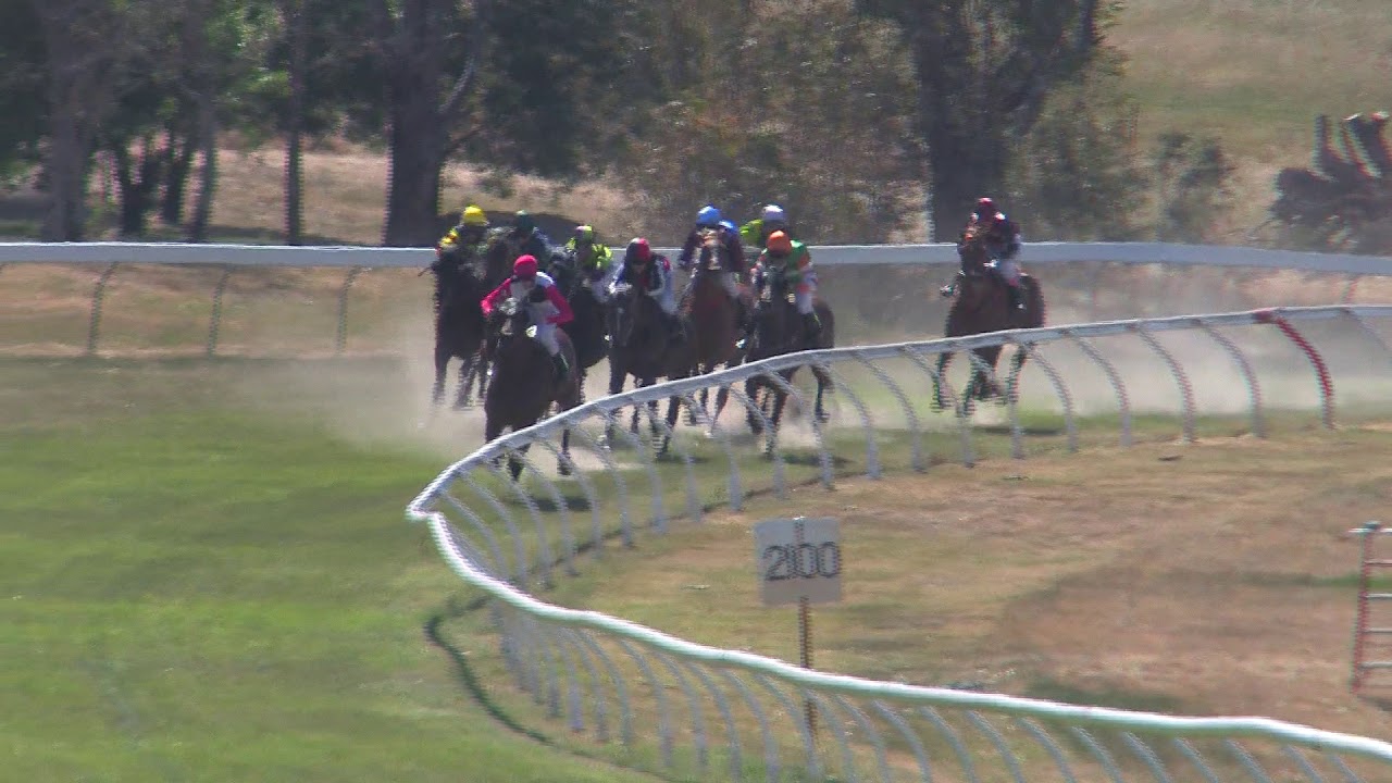 Yea Cup Racing Race 5 2018 Yea Cup 17th November 2018 - YouTube