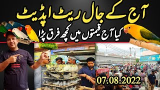 Birds jaal rate update 07-08-2022  Lalukhet Birds Market Sunday video Latest update jaal price Urdu