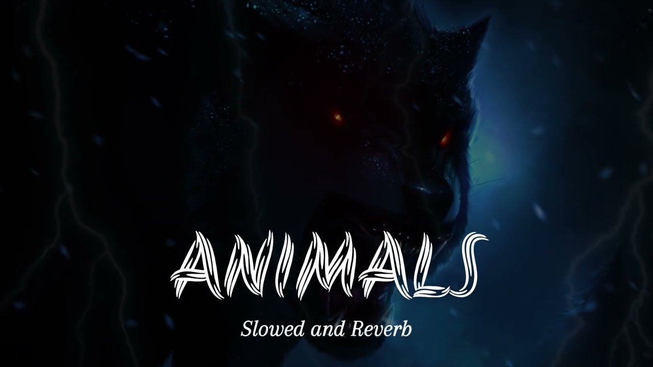Animals - Maroon 5 (Slowed + Reverb) | Chill Vibes | Perfect Late Night Music