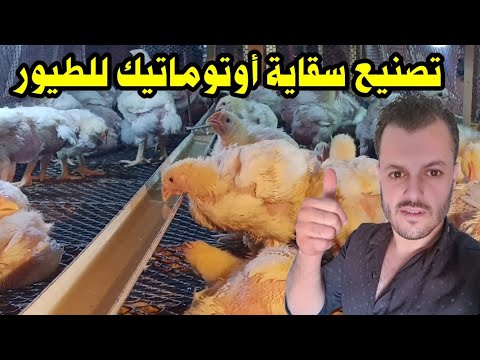 فكره صناعة سقاية اوتوماتيك للطيور في المنزل بأقل التكاليف / بديل خط النبل في بطارية الفراخ