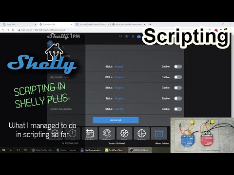 How to use scripting in Shelly?