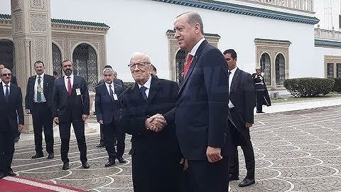 رئيس الجمهورية يستقبل الرئيس التركي أردوغان