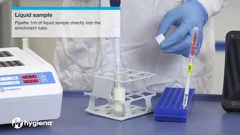 MicroSnap Total & EB - How To