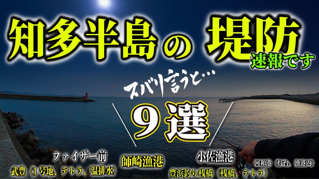 ［堤防９選］知多湾に何が起こっているのか、爆速調査してきました。