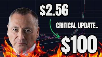 Critical Update for Rezolve AI Stock Investors....................