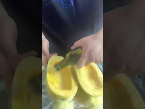 Update Goli Apple Cider Vinegar Gummies