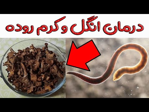 تصویری: چگونه می توان انگل را بارور کرد؟