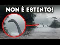 Cose incredibili trovate nei fiumi – Incluso un dinosauro nel Congo