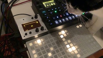 SuperBrain Jam - Awesome generative sequencer for Monome Norns + Digitone!