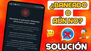 Adiós a WhatsApp Plus  WhatsApp baneo mi cuenta 2024 ¿Ahora que hago? SOLUCIÓN Apk Oficial ✅