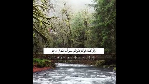 تلاوة يرق لها القلب بصوت الشيخ محمد الغزالي💗