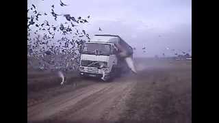 Solta em Cartaxo, 14/02/2015