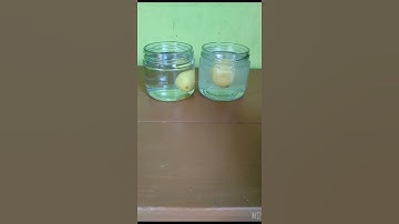 Water density experiment with lemon / #short/ easy science experiment to do at home ||