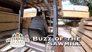 Buzz of the Sawmill