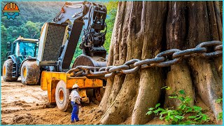 500 Incredible Fastest Big Stump Removal Bulldozers That Are On Another Level