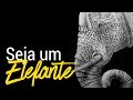 Seja como um elefante!