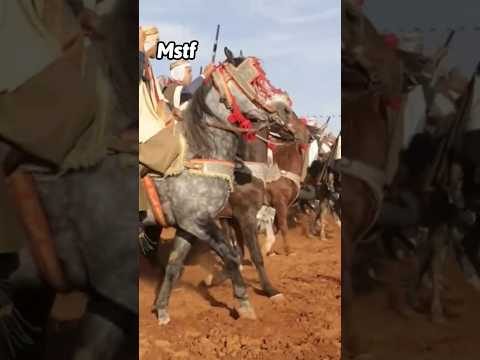 علفة رشيد ولاد بن ناصر ولاية معسكر