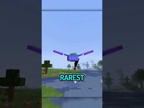 What's the RAREST Cape in Minecraft