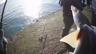 PESCA DE ENORMES TOYOS ( CAZÓN , TIBURÓN ) CON CAÑA DE PESCAR - MÁS COCINA JAPÓN