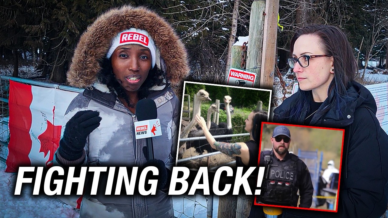 Family sues CFIA, RCMP for alleged trespass during ostrich slaughter