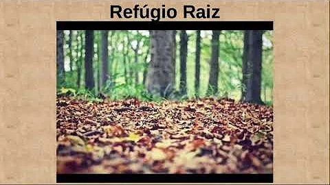 O que é planta de cobertura recicladora de nutrientes?