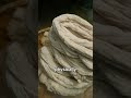 How Raw Cotton Is Turned Into Clothes🧵