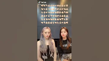 TikTok Chaejeong Karin Lalala Ilkan Gunuc Remix 