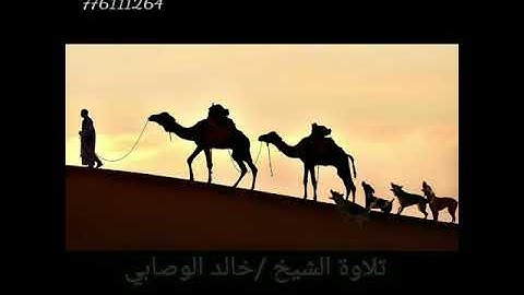 حالات وتس اب تلاوة في غاية الجمال.   للشيخ خالد الوصابي