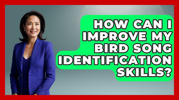 How Can I Improve My Bird Song Identification Skills? - Bird Watching Diaries