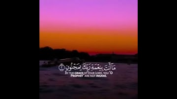 تﻻوة قرآن ارح سمعك...حاﻻت واتس اب#تﻻوة هادئة من سورة القلم القارئ سالم الرويلي《حاﻻت واتساب قرآن》