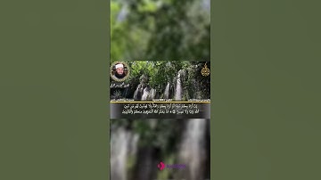 تلاوة تنسيك الهموم  #ياسر_القرشي