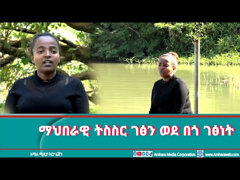 ቪዲዮ: የባህል ቅርስ ቦታዎችን ወደ ነበሩበት መመለስ፡ ፍቃድ፣ ፕሮጀክቶች እና ስራ ማግኘት። የባህል ቅርስ ዕቃዎች መዝገብ