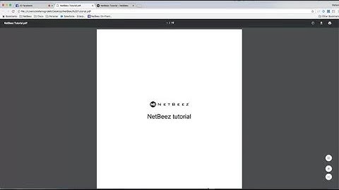 FB Live Demo: NetBeez Tutorial
