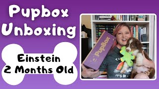 Einstein 2 Months Old Pupbox Unboxing