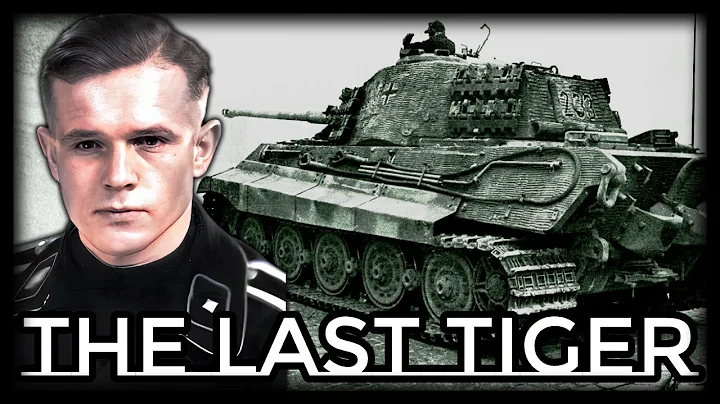 The Last Tiger: Final Stand in Berlin | World War II - DayDayNews