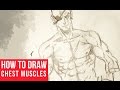 How To Draw Chest and Arm Muscles