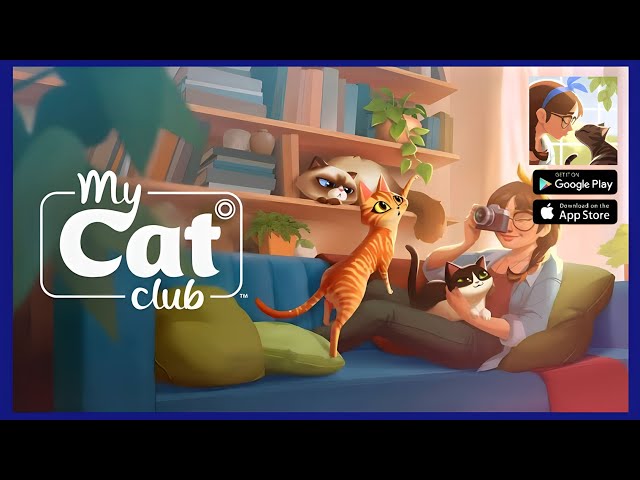 My Cat Club Gatinhos fofos: Gameplay, jogo de gatos, fotos, tags  mais(Android/IOS) JOGO NOVO GRÁTIS 