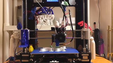 3D printing timelapse Flexicat