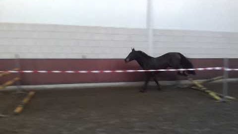 video 2014 12 18 10 48 38