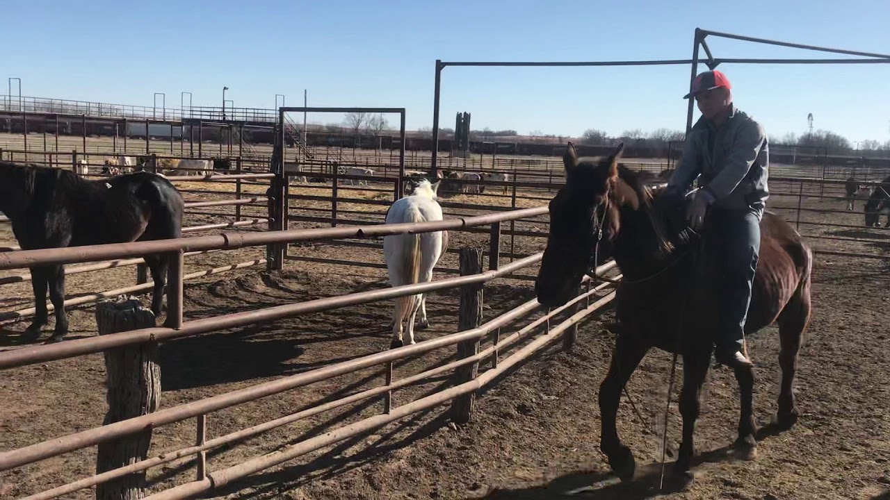 Kansas kill pen YouTube