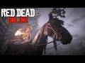 Red Dead Redemption2 Online:金曜日(夜之部)~4/10~👋😸🌧️~🔯商人×3 ﾎﾞｰﾅｽ中🔯ゆるりと西部開拓漫遊記ﾃﾞｲﾘｰやてくょ🎉✨