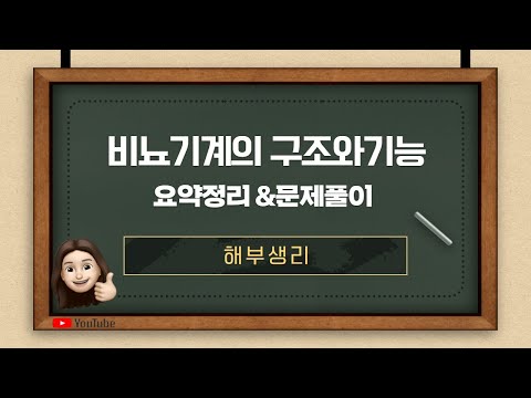 [해부생리]- 비뇨기계의 구조와 기능 요약정리