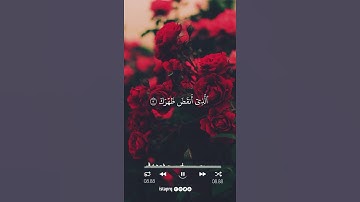 ألم نشرح لك صدرك * ووضعنا عنك وزرك * الذي أنقض ظهرك ( سورة الشرح )