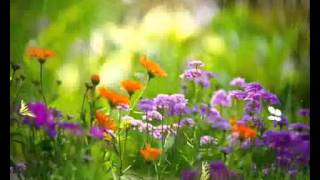 Download Lagu เพลงจีนบรรเลง MP3