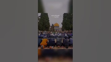 الشيخ نعمة الحسان - سورة الزمر - الاية 36