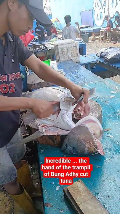 Incredible ... the hand of the trampil of Bung Adhy cut tuna #tunafishcutting #mancingtuna #fish