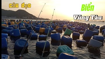 Chèo đò câu dạo gặp ngay bày cá kéo đã tay#cauca #fishing #caucabien