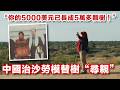 “你的5000美元已長成5萬多顆樹！”　中國治沙勞模替樹“尋親”